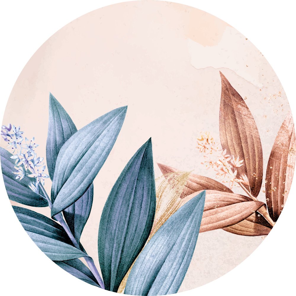 Soft Breeze - Imagen 2