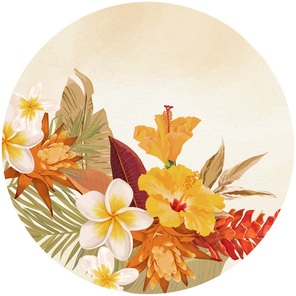 Hawaii - Imagen 2